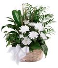 Peaceful Garden Basket from Backstage Florist in Richardson, Texas